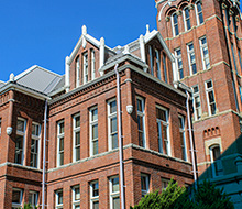Case Study Image Image