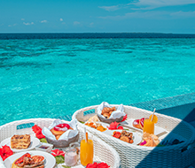 Case Study Image Image