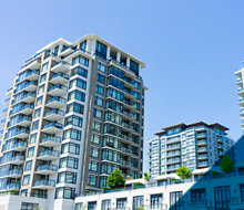 Case Study Image Image