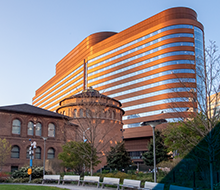 Case Study Image Image