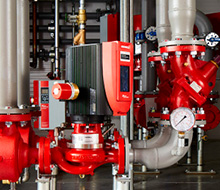 Case Study Image Image