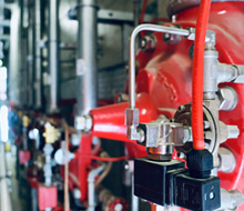 Case Study Image Image