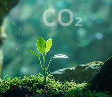 Case Study Image Image